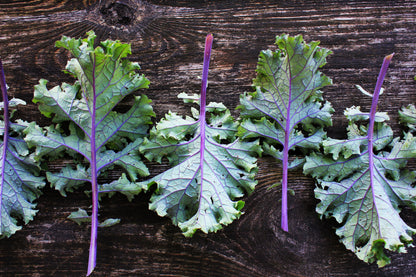 Scarlet Curly Kale (OS)